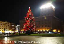 Новый год в Риме елка